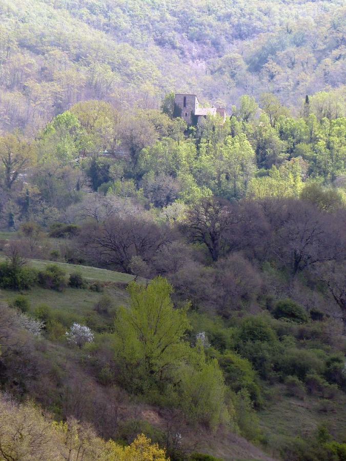 شقة Torre Di Pornello المظهر الخارجي الصورة